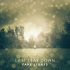 Last Leaf Down - Fake Lights [CD]