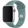 Remienok pre Apple Watch (42/44/45mm) Sport Band, Cactus, veľkosť M/L