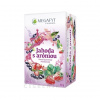 Megafyt Jahoda s aronií 20 x 2 g