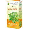 MEGAFYT Bylinková lekáreň MEDOVKA bylinný čaj 20x1,5 g (30 g)