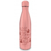 Pyramid Kovová fľaša na nápoj Disney Princess Thirsty Work 550 ml