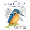 Ptačí omalovánky Pavlíny Kourkové - autora nemá