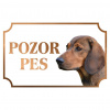 Alpský jazvečíkovitý durič (Daxel kopov) - Kovová tabuľka POZOR PES