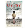 A Gypsy In Auschwitz
