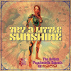 Try A Little Sunshine (The British Psychedelic Sounds Of 1969) (CD)