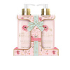 Baylis & Harding Royale Garden čistiace tekuté mydlo na ruky 300 ml + mlieko na ruky a telo 300 ml darčeková sada