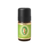 Primavera Éterický olej Iris 1% 5 ml