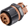 Wieland Electric RST16I5 S B1 M03 L BR 46.051.5050.4 guľatý faston, 1 ks; 46.051.5050.4
