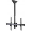 StarTech FPCEILPTBSP