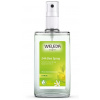 Weleda Citrusový dezodorant 100 ml