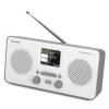 TechniSat TECHNIRADIO S 6 IR, bílošedé