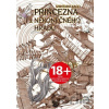 Princezna z Nekonečného hradu - Šintaró Kago