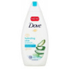 Dove Hydrating Care s Aloe Vera a břízovou vodou sprchový gel 250 ml