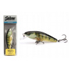 WOBLER SALMO PERCH 8 PLÁVAJÚCICH OSTRIEŽOV 8 CM 12 GR