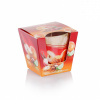 Bartek Candles Christmas Time Pomaranč a škorica Vonná sviečka 115g