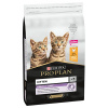 PRO PLAN CAT Kitten HEALTHY START kura 10kg
