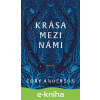 E-kniha Krása mezi námi - Cory Anderson