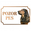 Alpský jazvečíkovitý durič (Daxel kopov) - Kovová tabuľka POZOR PES