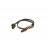 BOSCH Lambda sonda 0258006962