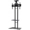 Neomounts PLASMA-M1700ES / Mobilný Flat Screen Floor Stand (height: 147-163 cm) box 1/2 / Black