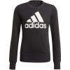 Sweatshirt adidas Essentials Big Logo Jr GP0040 (77229) NAVY BLUE 152cm
