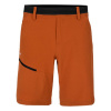 Salewa PUEZ 3 DST M SHORTS M 27401-4171 shorts (96358) Black m