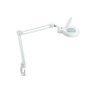LED lampa s lupou Phobos, s upínacou svorkou, biela