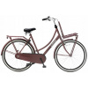 Mestsky bicykel - Ženský bicykel Daily Dutch Basic (Ženský bicykel Daily Dutch Basic)