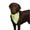 Reflexná šatka pre psa L-XL 43-60 cm TRIXIE
