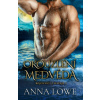Okouzlení medvěda - Lowe Anna