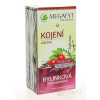 MEGAFYT Bylinková lekáreň DOJČENIE ovocný čaj 20x1,5 g (30 g)