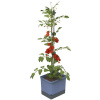 Gusta Garden GG-104610