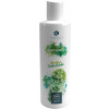 Alkemilla Eco Bio Cosmetic Telové mlieko K-Essence - Gingko & Bamboo