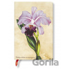 Paperblanks - zápisník Brazilian Orchid - Paperblanks