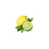 Sentiotec Saunová esencia - Citrus Limone 100 ml