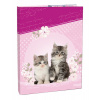 Box na zošity A5 Kitten STIL