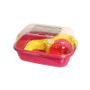 Pet Inn Klietka pre hlodavce PETER PAN mini 44x34x20cm