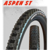 Maxxis plášť ASPEN ST MaxxSpeed/EXO/TR 29