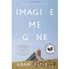 Imagine Me Gone - Adam Haslett