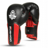 Boxerské rukavice DBX BUSHIDO boxerské rukavice 12 oz