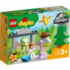 Lego Stavebnica LEGO DUPLO 10938 Dinosauria škôlka (27 dielikov)