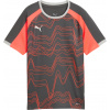 Puma | individualLIGA Graphic Jersey Kids | šedá| 176