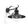 TOPIARY myGarden E27 IP44 LED Down Lantern Garden Lamp Black PHILIPS