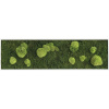Machový obraz styleGREEN lesný mach a machové gule 140x40cm