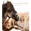 Horses of Iceland