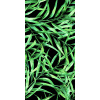 Ceramika Color FLORIS MAT REKT. 30x60 dekor