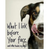 What I Lick Before Your Face - Jamie Coleman