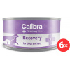 Calibra VD Dog & Cat konzerva Recovery 6× 100 g