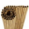 gobamboo Prírodná bambusová rolka Tali Gigant 180 x 100 cm (bambusový plot)