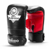 Boxerské rukavice DBX BUSHIDO RP4 6 oz